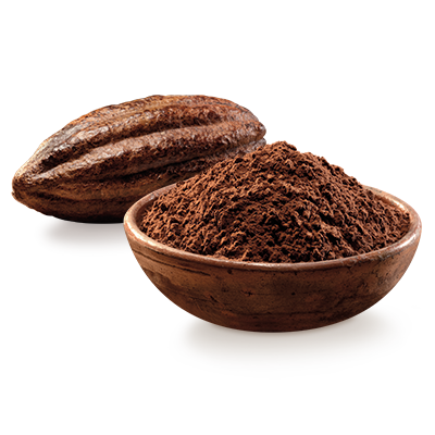 visual_ingredients_cocoa.png