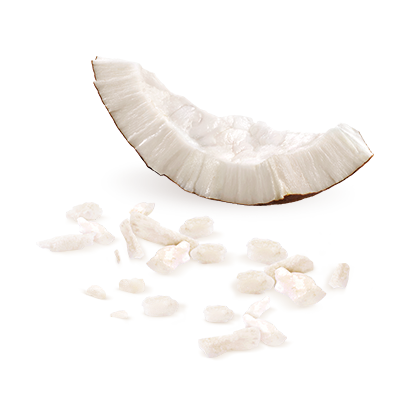 visual_ingredients_coconut-flakes.png