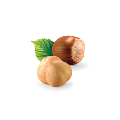 visual_ingredients_hazelnut.png