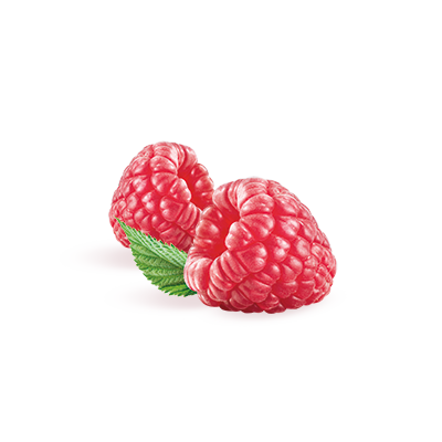 visual_ingredients_raspberry.png