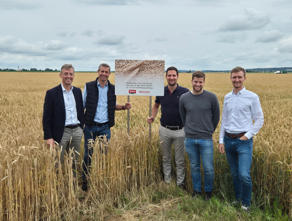 Loacker Wheat program