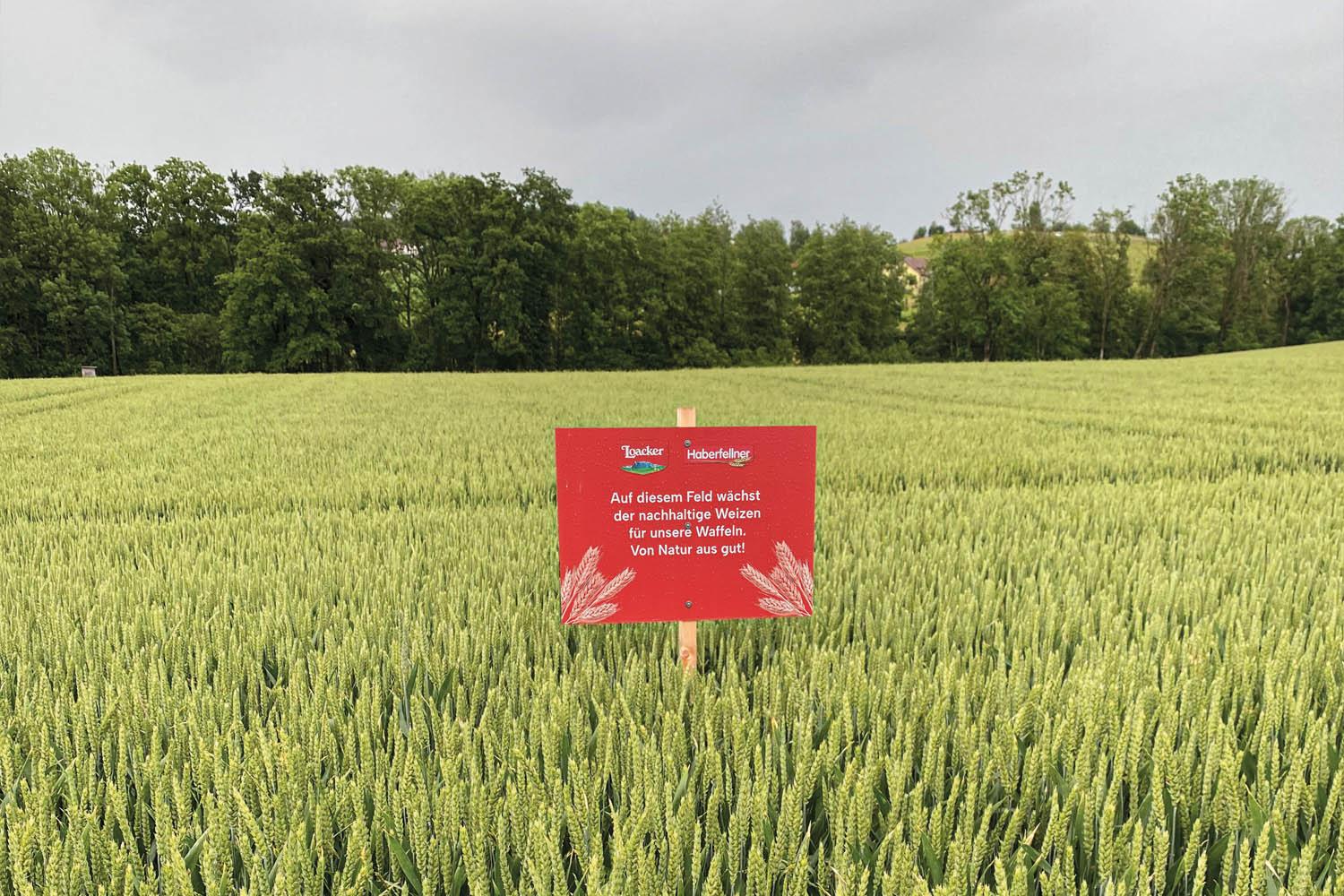 Ehtical_Sourcing_Header-image-wheat