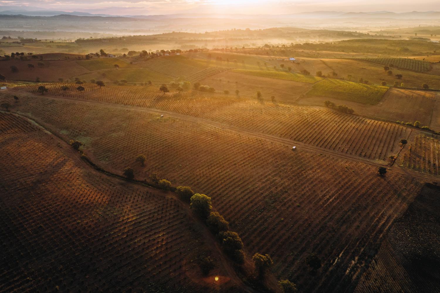 Climate Action_Header-image