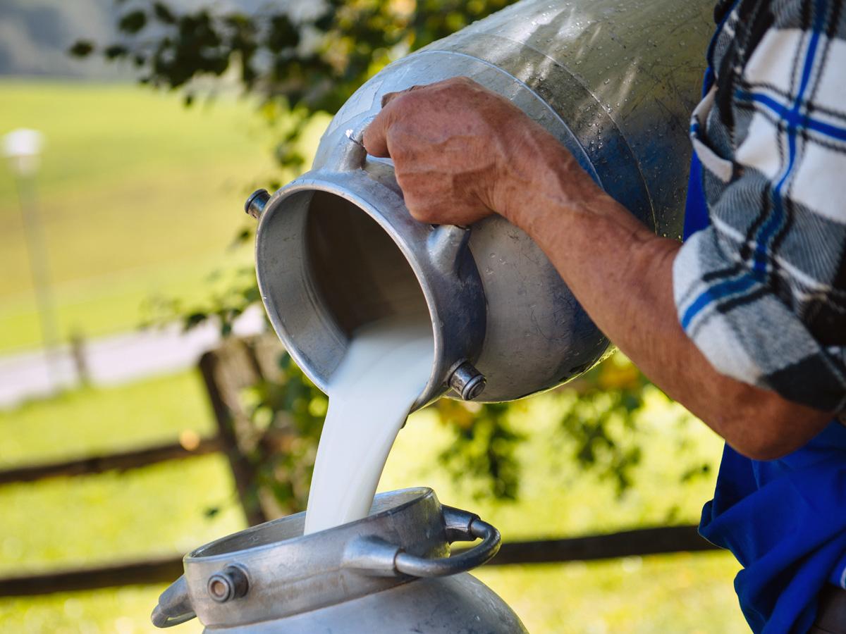 Loacker - Alpine Milk NON GMO